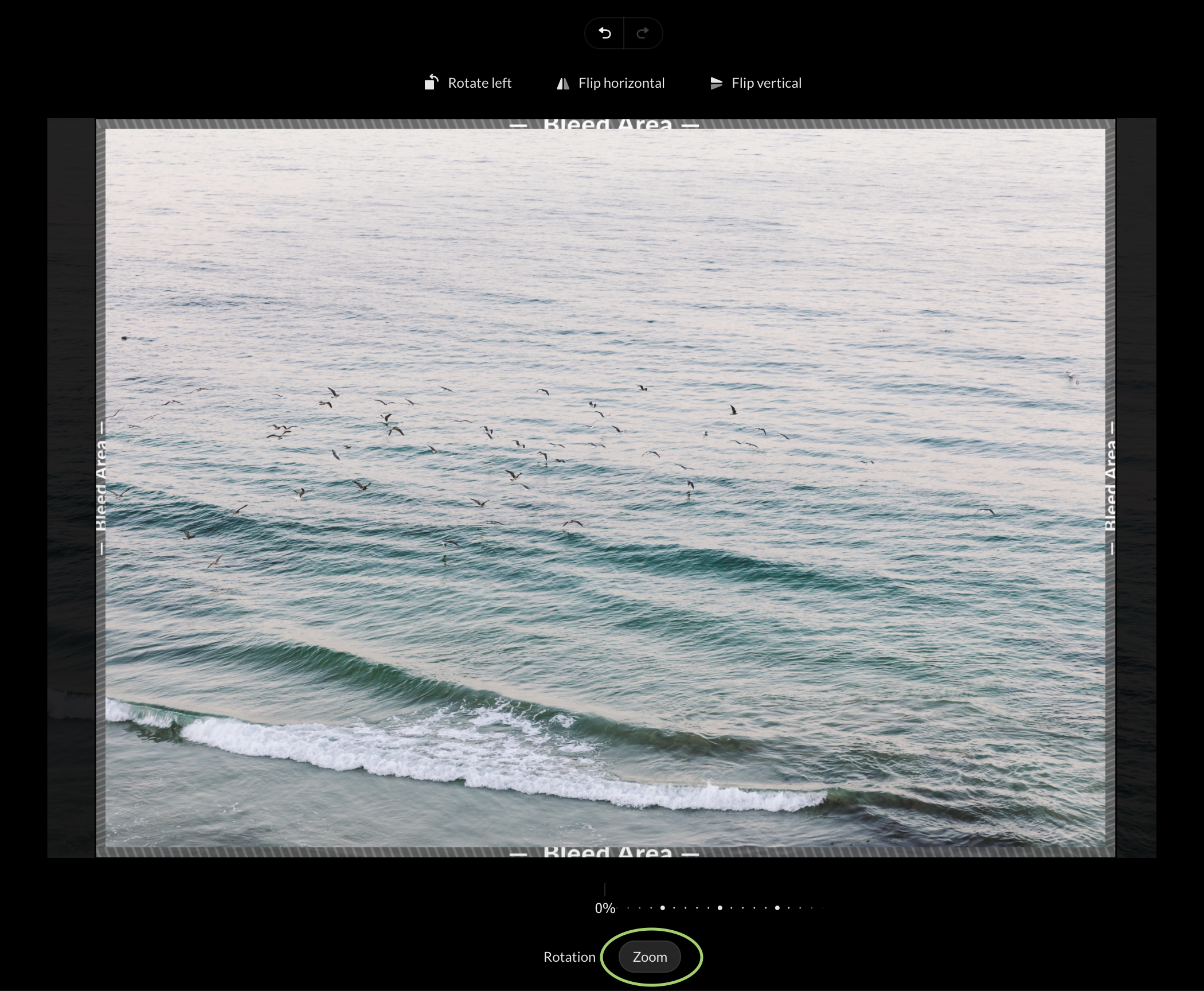 Screen_Shot_2023-02-10_at_10.07.17_AM.png