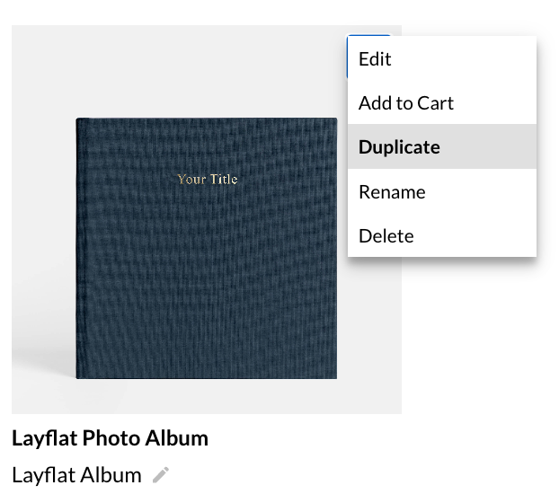 DuplicateProject.png