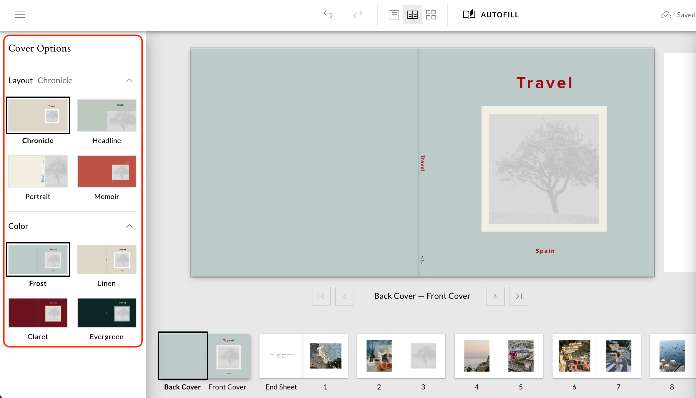 CoverOptions.png